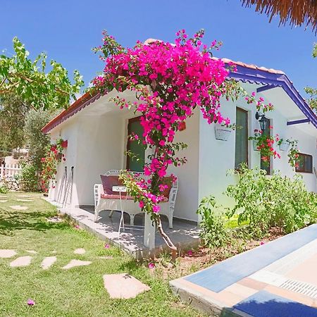 Masal Tatil Evi السليمية المظهر الخارجي الصورة