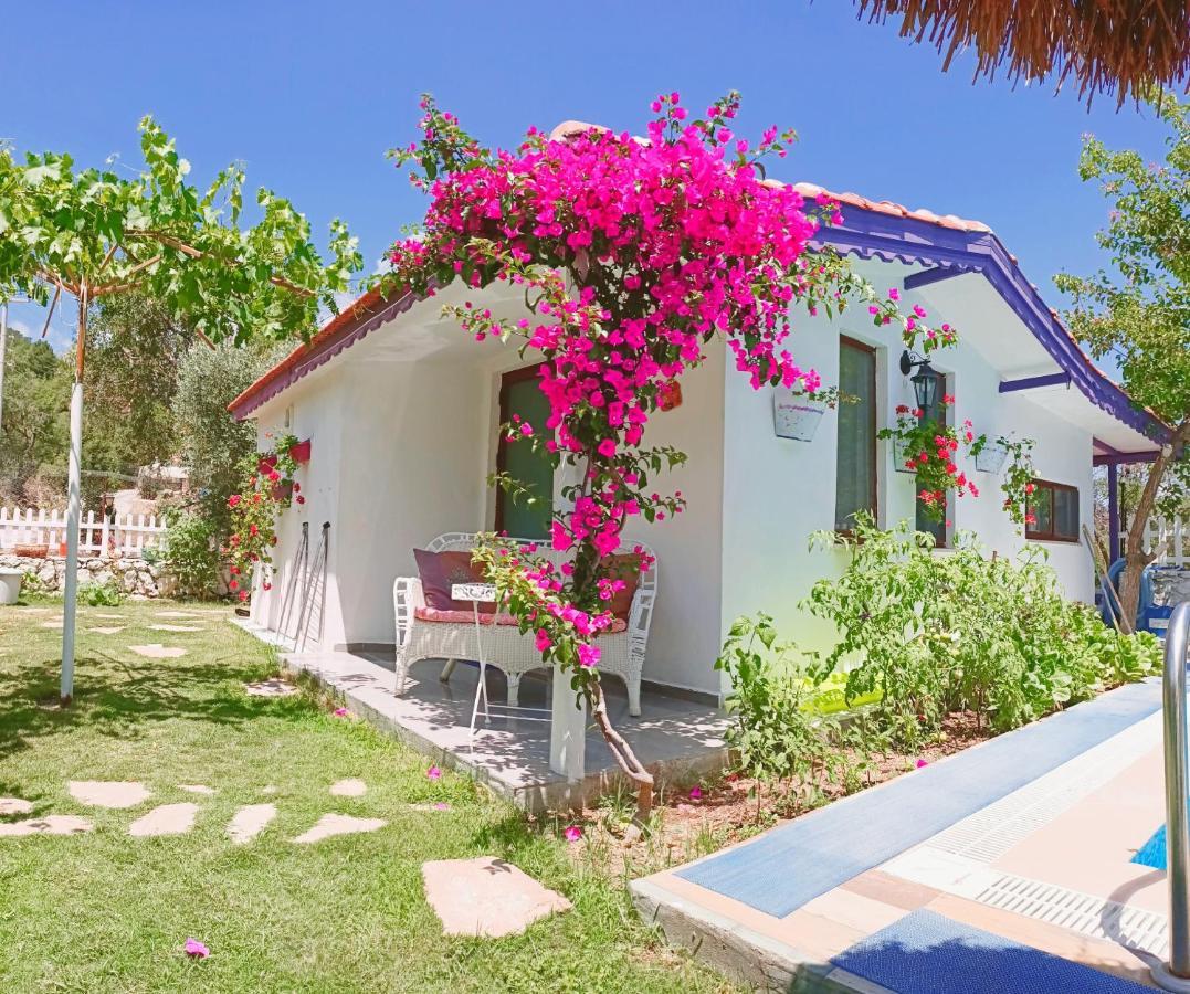 Masal Tatil Evi السليمية المظهر الخارجي الصورة