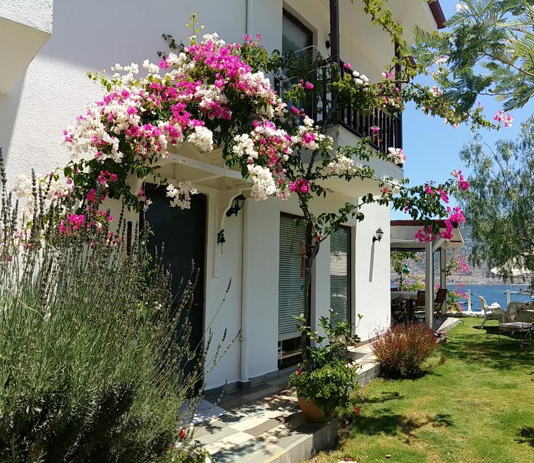 Masal Tatil Evi السليمية المظهر الخارجي الصورة