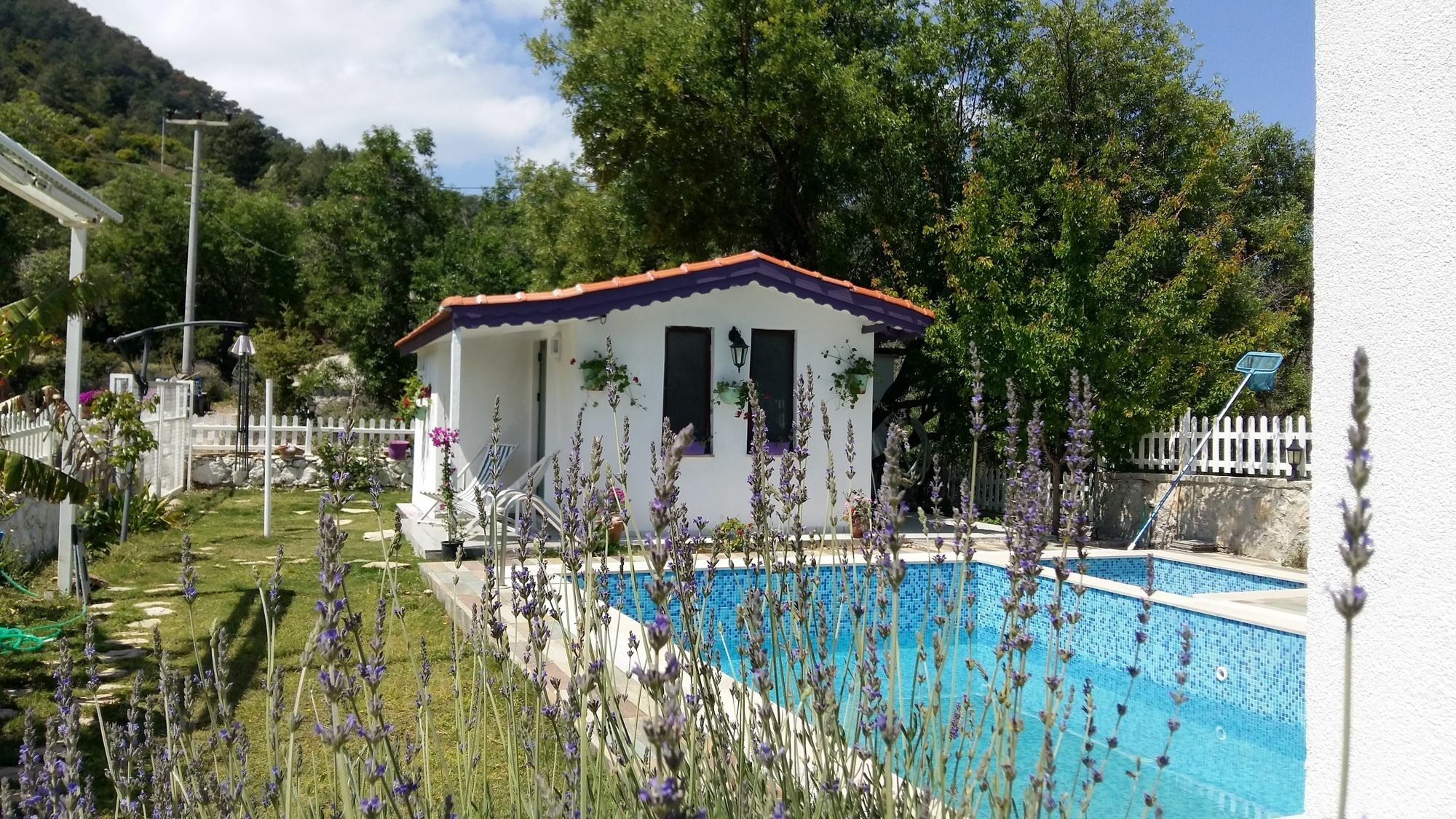 Masal Tatil Evi السليمية المظهر الخارجي الصورة